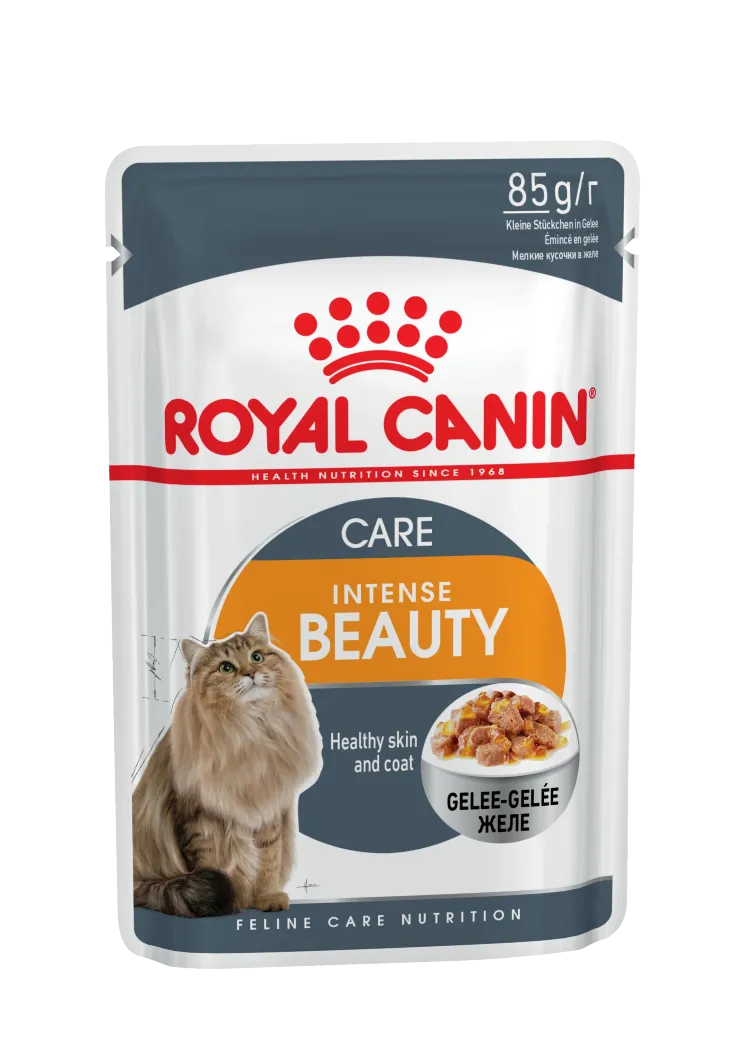 Royal Canin (Роял Канин) Intense Beauty (Gelee) - Влажный корм для поддержания красоты шерсти кошек с Желе (Пауч)