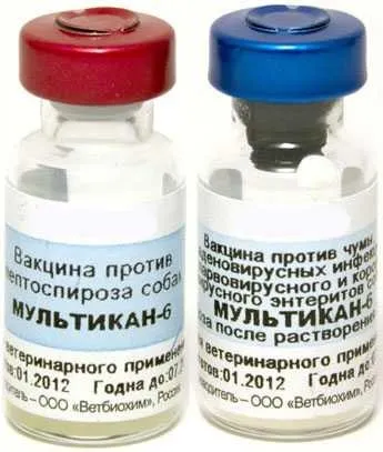 Мультикан-6 1 доза