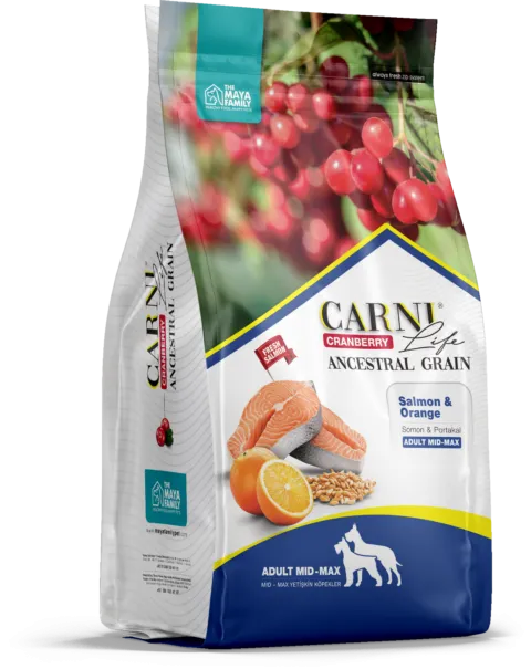 CARNI LIFE Medium Maxi Сухой корм для собак средних и крупных пород лосось с апельсином и клюквой 12 кг 