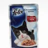 Purina Felix (Пурина Феликс) Аппетитные кусочки Пауч для кошек с говядиной в желе 75 г