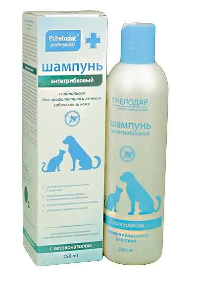 Антигрибковый шампунь с кетоконазолом пролонгированного действия для животных, 250 мл, Пчелодар 