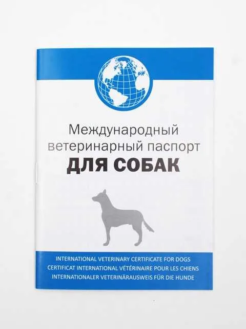 Международный ветеринарный паспорт (Свидетельство о вакцинации) кошек и собак