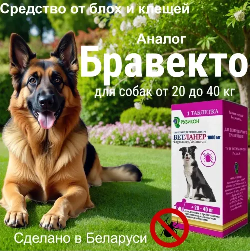 Ветланер 1000 мг, таблетка для собак весом от 20 до 40 кг (замена Бравекто)