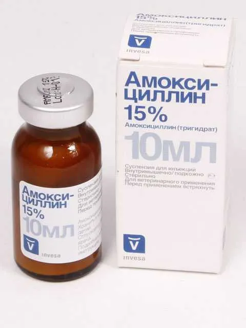 Invesa Амоксициллин 15% 10 мл
