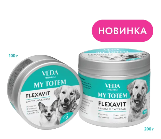 Флексавит MY TOTEM FLEXAVIT для суставов для собак, 100 г