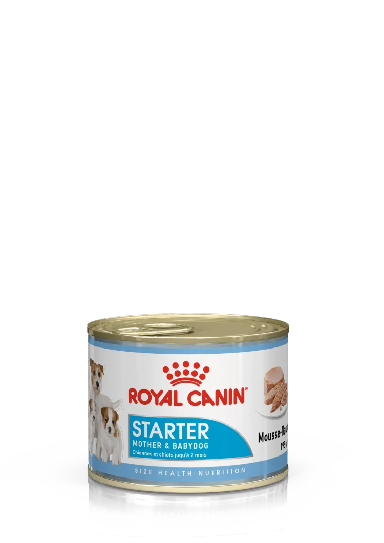 Royal Canin (Роял Канин) Starter Mousse Консервы для собак в период беременности и лактации и щенков до 2 месяцев в муссе 195 г