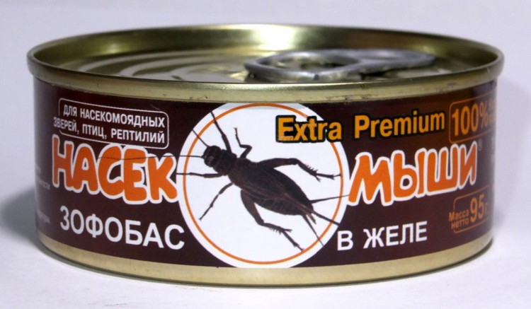 Зофобас в желе - Цельные личинки зофобаса для насекомоядных 95 гр.