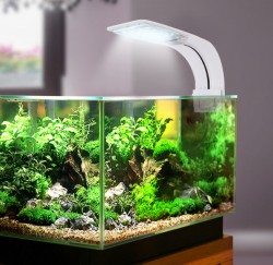 Ультра яркая светодиодная лампа для небольших аквариумов