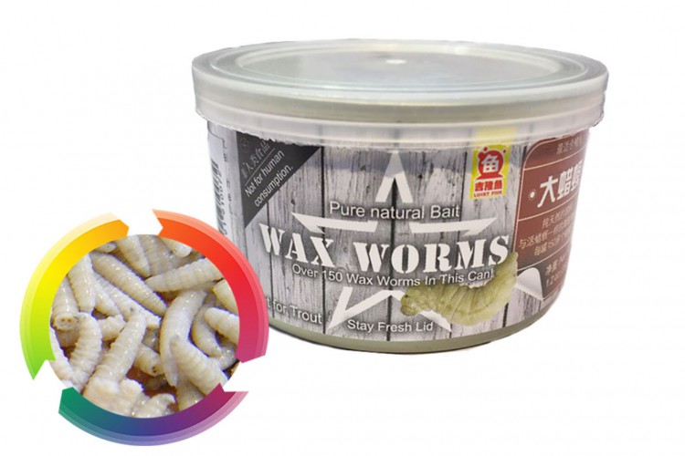 Waxworms - Личинки огневки консервированные 35 гр.