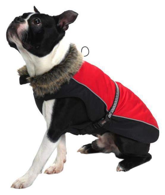 DogGoneSmart Aspen Нано куртка зимняя с меховым воротником красная 25см/р.10