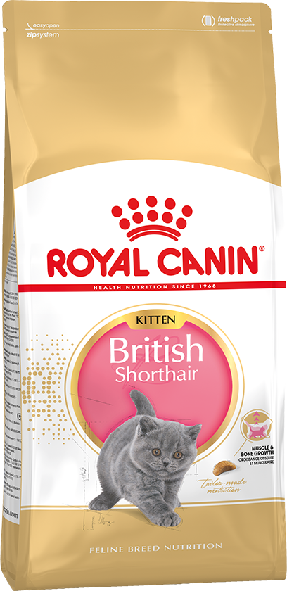 Royal Canin (Роял Канин) British Shorthair Kitten Сухой корм для котят породы Британская короткошерстная с 4 до 12 месяцев 400 г