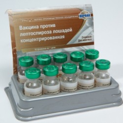 Вакцина против лептоспироза лошадей, 1 доза