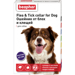 Beaphar (Беафар) - Ошейник для собак от блох и клещей фиолетовый 65 см