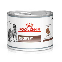 Royal Canin (Роял Канин) Recovery - Диетический корм для собак и кошек в период восстановления 195 гр