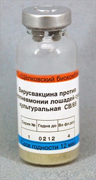 Вакцина против ринопневмонии лошадей сухая культуральная 4 дозы