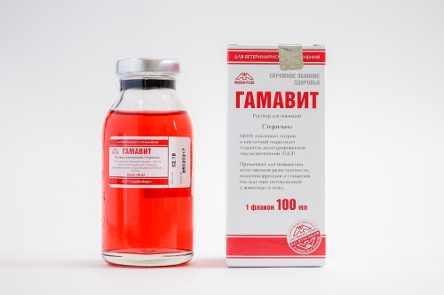 Гамавит 100 мл
