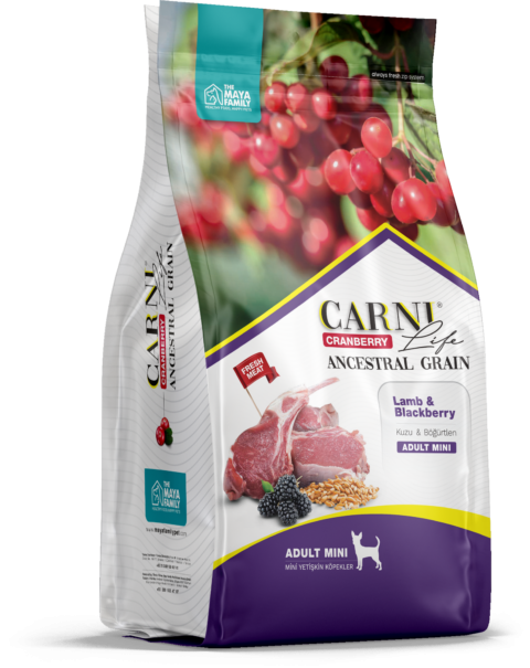CARNI LIFE Mini Сухой корм для собак мелких пород ягненок с ежевикой и клюквой 2,5 кг