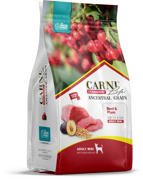 CARNI LIFE Mini Сухой корм для собак мелких пород говядина с черносливом и клюквой 2,5 кг