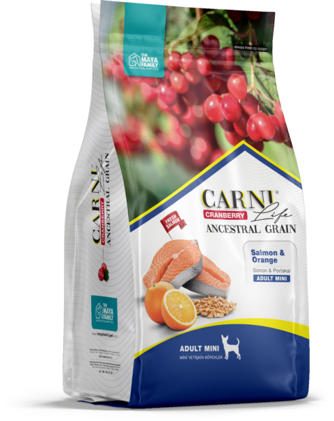 CARNI LIFE Mini Сухой корм для собак мелких пород лосось с апельсином и клюквой 2,5 кг
