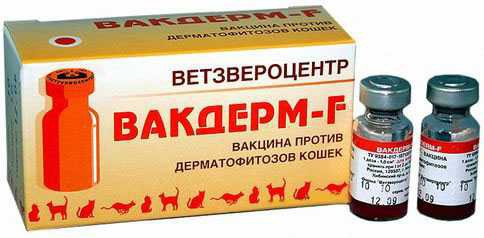 Вакдерм F 1 мл