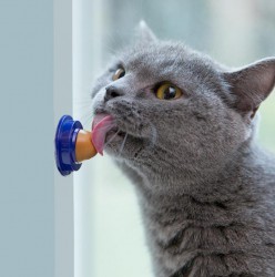 Cat's way Игрушка для кошек Конфета-лизун на присоске