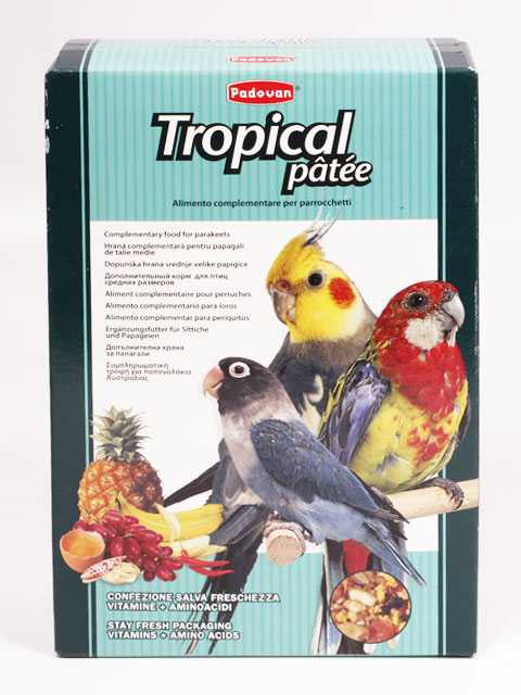 Padovan (Падован) Tropical Patee - Корм Фруктовый для Средних попугаев комплексный