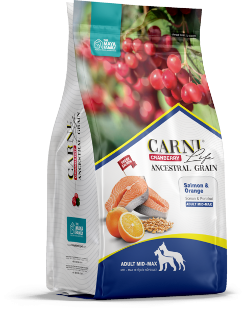 CARNI LIFE Medium Maxi Сухой корм для собак средних и крупных пород лосось с апельсином и клюквой 12 кг 