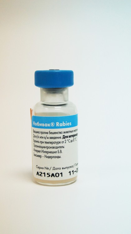Nobivac Rabies Нобивак Рабиес вакцина против бешенства животных 1 мл