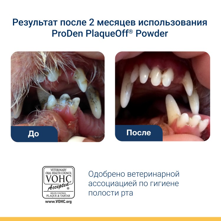ProDen PlaqueOff (Плакофф) Средство для профилактики зубного камня у собак и кошек 180 г 
