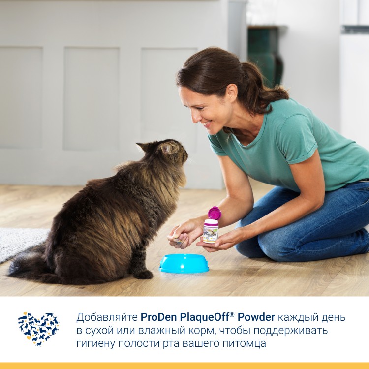 ProDen PlaqueOff (Плакофф) Средство для профилактики зубного камня у собак и кошек 180 г 