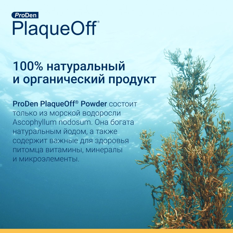 ProDen PlaqueOff (Плакофф) Средство для профилактики зубного камня у собак и кошек 180 г 