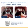 PRODEN PLAQUEOFF (Плакофф) Средство для профилактики зубного камня у собак и кошек 40 г