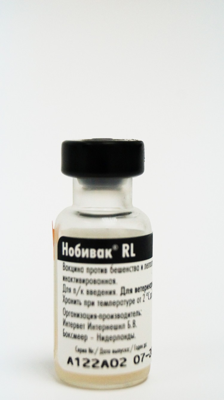 Nobivac  DHPPi+RL - вакцина против чумы плотоядных, парвовирусного энтерита,гепатита и парагриппа,  бешенства и лептоспироза собак 1 мл