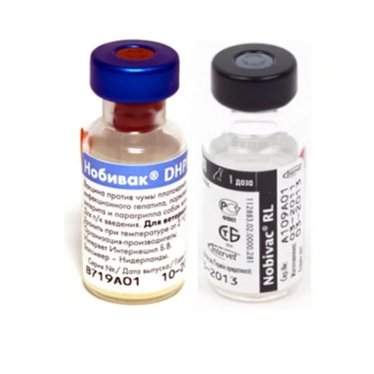 Nobivac  DHPPi+RL - вакцина против чумы плотоядных, парвовирусного энтерита,гепатита и парагриппа,  бешенства и лептоспироза собак 1 мл