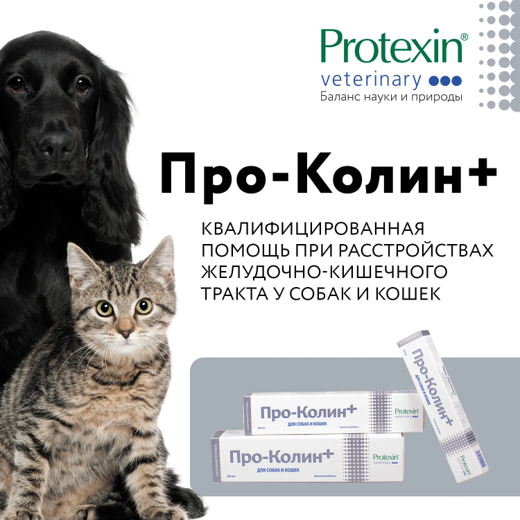 Pro-Kolin+ (Проколин) Кормовая добавка пробиотик 15 мл (ЗАМЕНА КРИТИСТОП) 