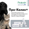 Pro-Kolin+ (Проколин) Кормовая добавка пробиотик 15 мл (ЗАМЕНА КРИТИСТОП) 