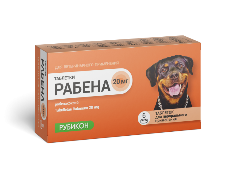 Рабена 20 мг 6 табл (замена Онсиора)