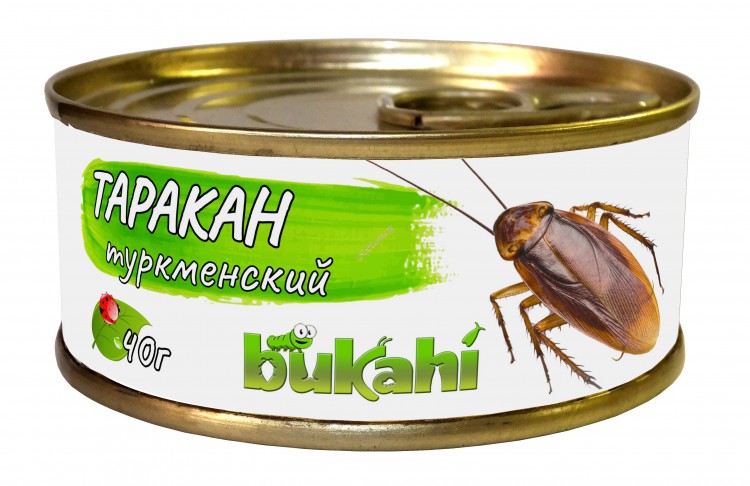 Таракан туркменский консервированный, 40 гр.