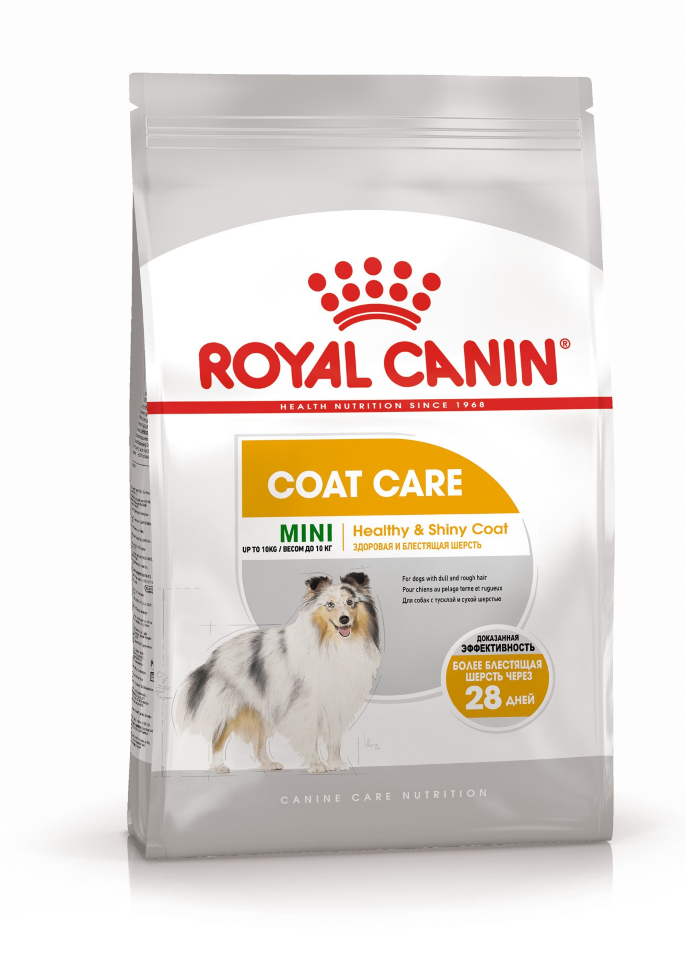 Корм для мелких собак купить роял канин. Royal Canin Maxi Dermacomfort. Coat Care Роял Канин. Royal Canin Mini Coat Care. Royal Canin Maxi Dermacomfort 3кг для.