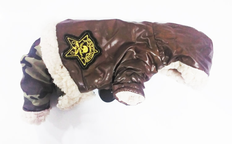 Puppy angel комбинезон теплый коричневый с черепом и штанами милитари S