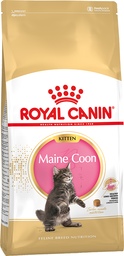 Royal Canin (Роял Канин) Maine Coon Kitten Сухой корм для котят породы Мэйн Кун до 15 месяцев 2 кг
