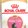 Royal Canin (Роял Канин) Maine Coon Kitten - Корм для котят породы Мэйн Кун до 15 месяцев