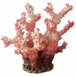 Коралл декоративный красный BLU 9133, 8,5 x 11 x h 10 cm, Ferplast