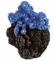 Коралл декоративный голубой BLU 9134, 9,5 x 10,5 x h 14 cm, Ferplast