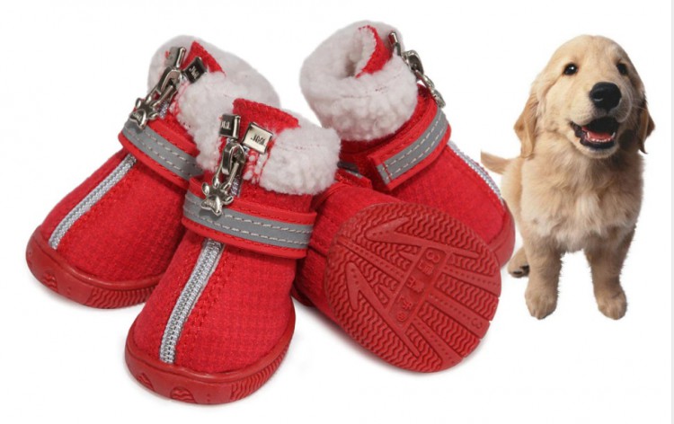 Зимние кроссовки для собак