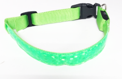 Meangood Ошейник светящийся нейлоновый размер XL 52-60 см зеленый с блестками