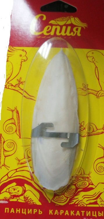 Сепия панцирь каракатицы 12 см
