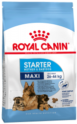 Royal Canin (Роял Канин) MAXI Starter - Корм для щенков собак крупных размеров до 2-х месяцев, беременных и кормящих собак 4 кг