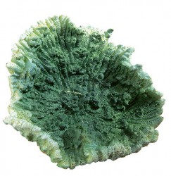 Ферпласт Коралл декоративный зеленый большой BLU 9137, 25 x 16,5 x h 19,5 cm, Ferplast