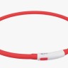Ошейник светящийся для собак USB (6-ти расцветок) 30 см 